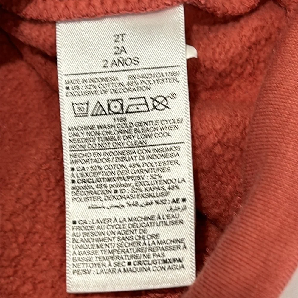 Old Navy Kids Rust Hoodie